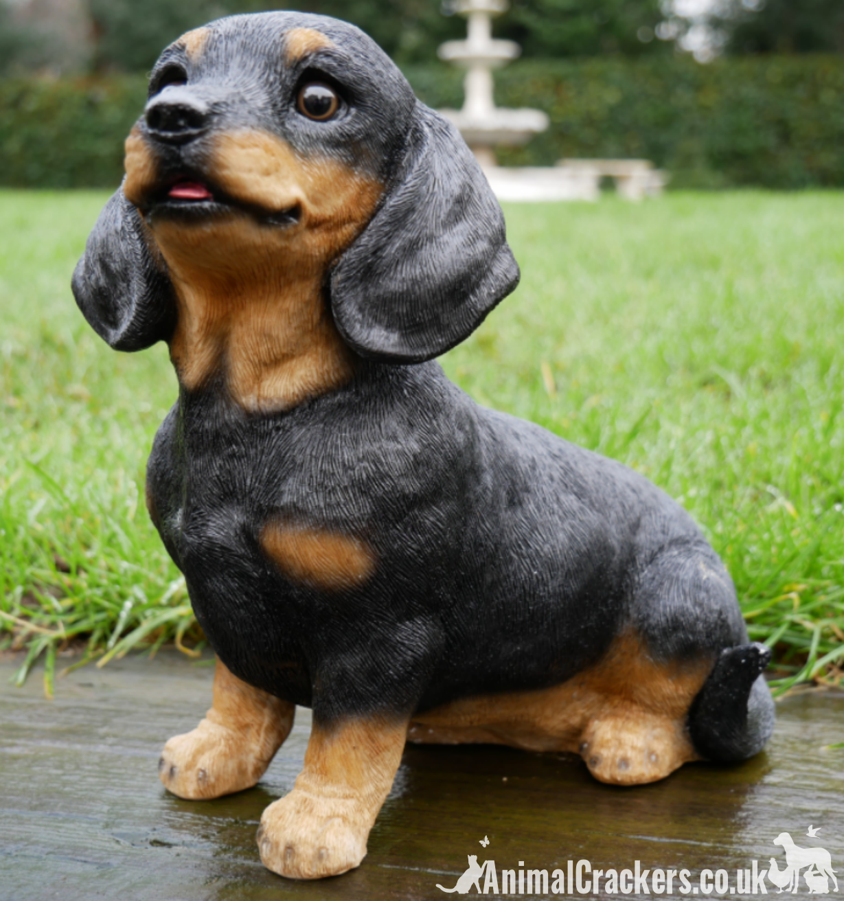 Dachshund 2025 novelty gifts