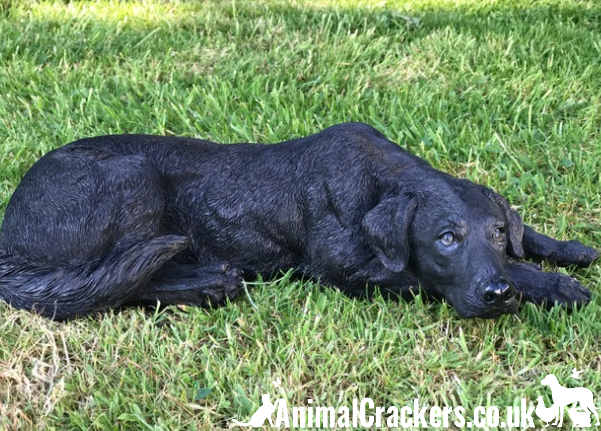 Black hot Lab dog statue