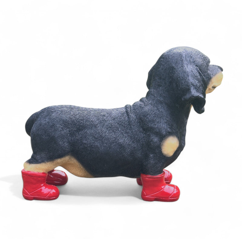 Large Dachshund in Red Wellington Boots 'Welly Dog' figurine home or garden decoration (25cm)