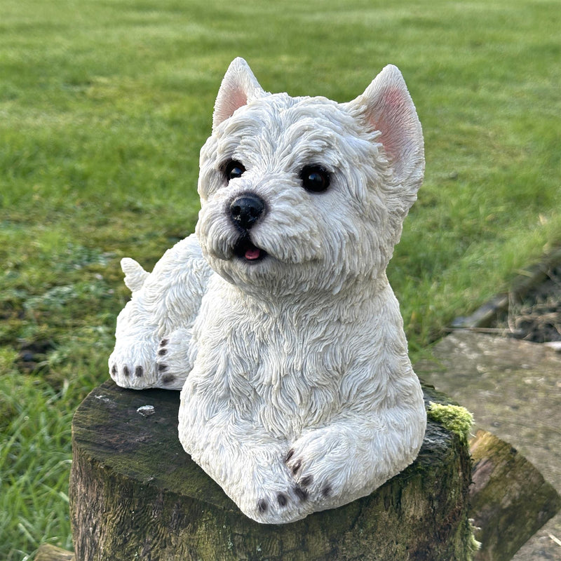 West Highland Terrier figurine in an alert pose, home or garden decoration (26cm)