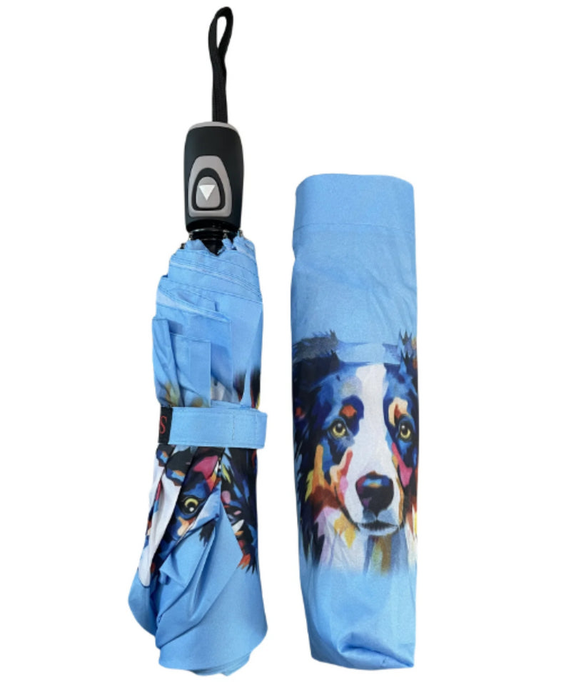 Folding Umbrella with watercolour style print - Border Collie