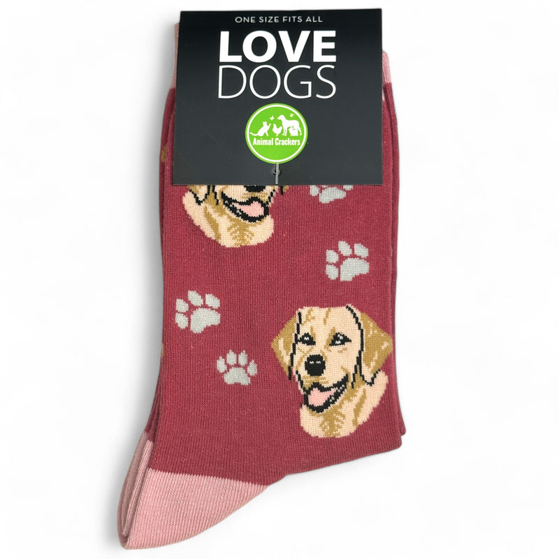 Animal Crackers Golden Labrador design socks, quality cotton mix, Women's or Men's sizes