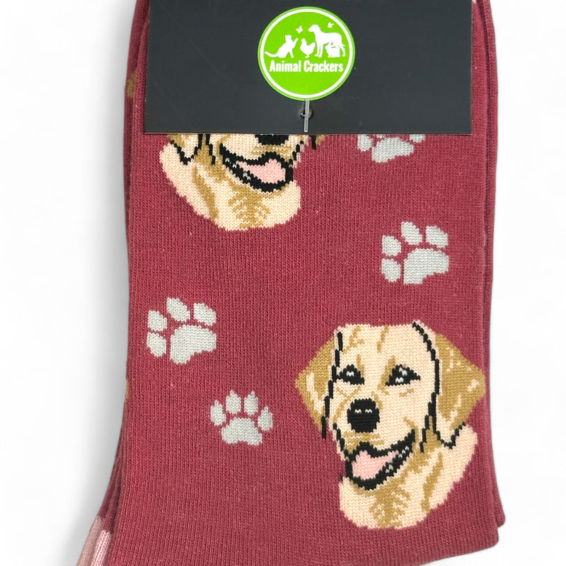 Animal Crackers Golden Labrador design socks, quality cotton mix, Women's or Men's sizes