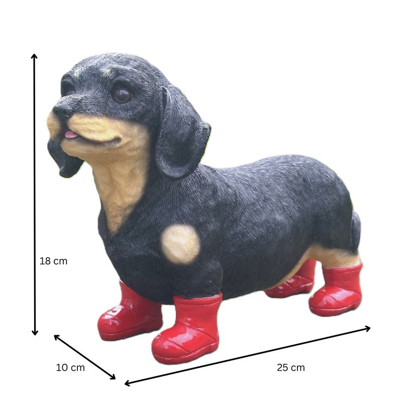 Large Dachshund in Red Wellington Boots 'Welly Dog' figurine home or garden decoration (25cm)