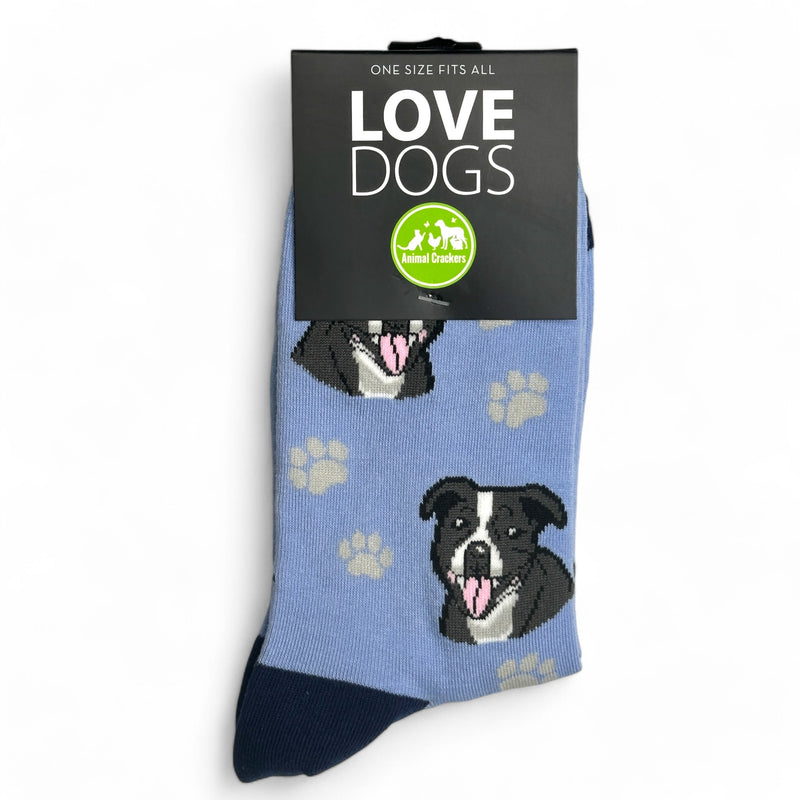 Animal Crackers Staffordshire Bull Terrier design socks, quality cotton mix, Women's or Men's sizes