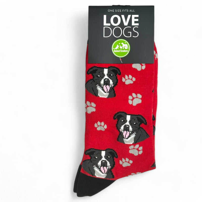 Animal Crackers Staffordshire Bull Terrier design socks, quality cotton mix, Women's or Men's sizes