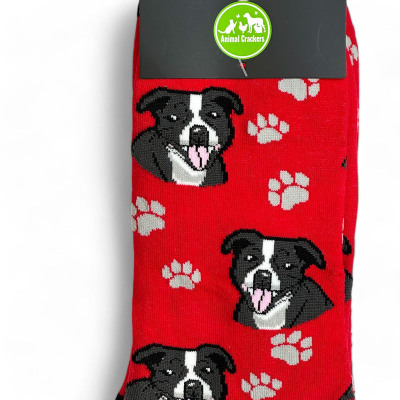 Animal Crackers Staffordshire Bull Terrier design socks, quality cotton mix, Women's or Men's sizes