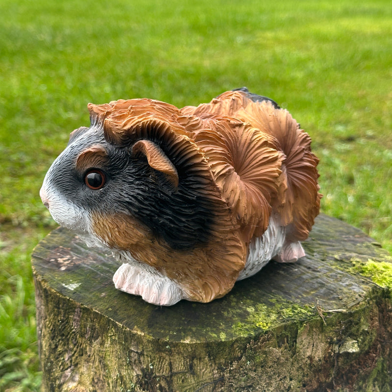 Cute Guinea Pig figurine, tri-colour tortoiseshell long haired coat, length 18cm