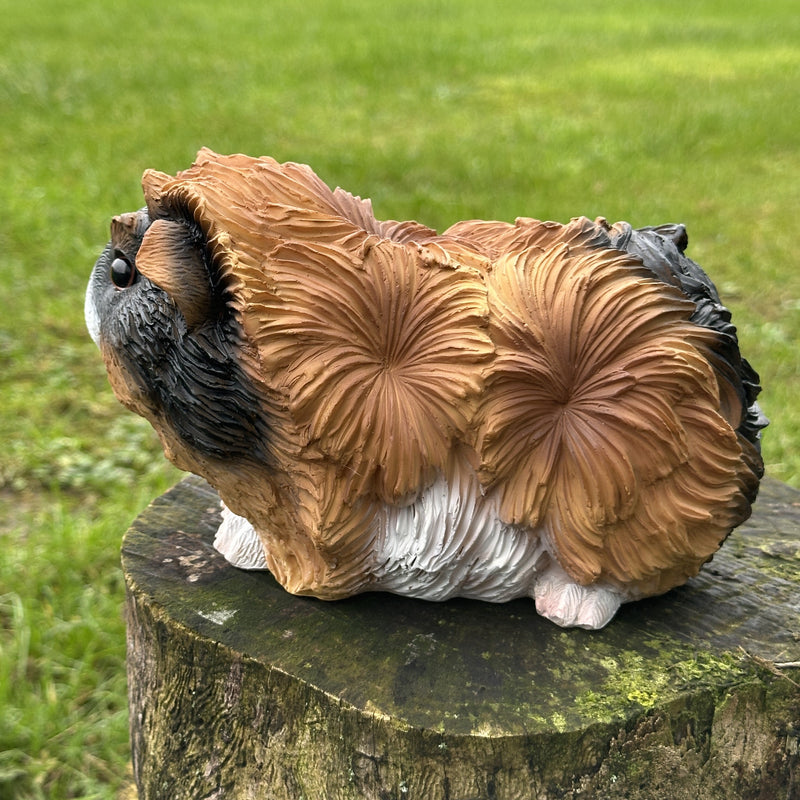 Animal Crackers 18cm Guinea Pig figurine, tri-colour tortoiseshell with long haired coat