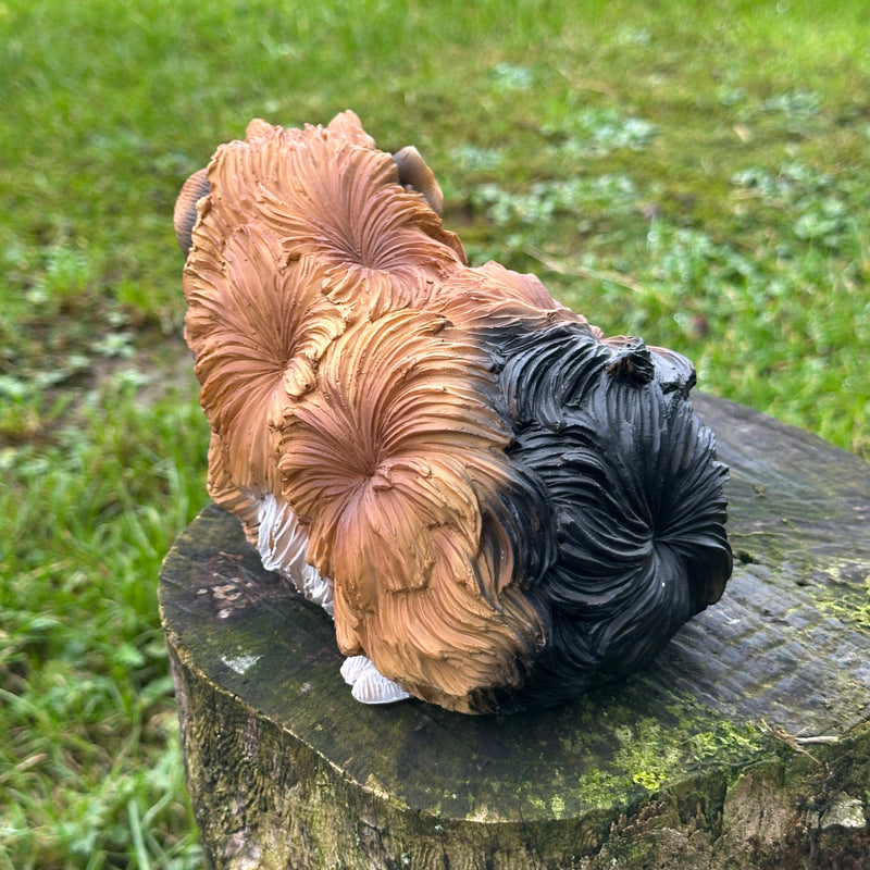 Cute Guinea Pig figurine, tri-colour tortoiseshell long haired coat, length 18cm