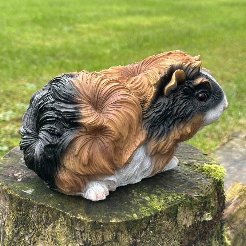 Cute Guinea Pig figurine, tri-colour tortoiseshell long haired coat, length 18cm