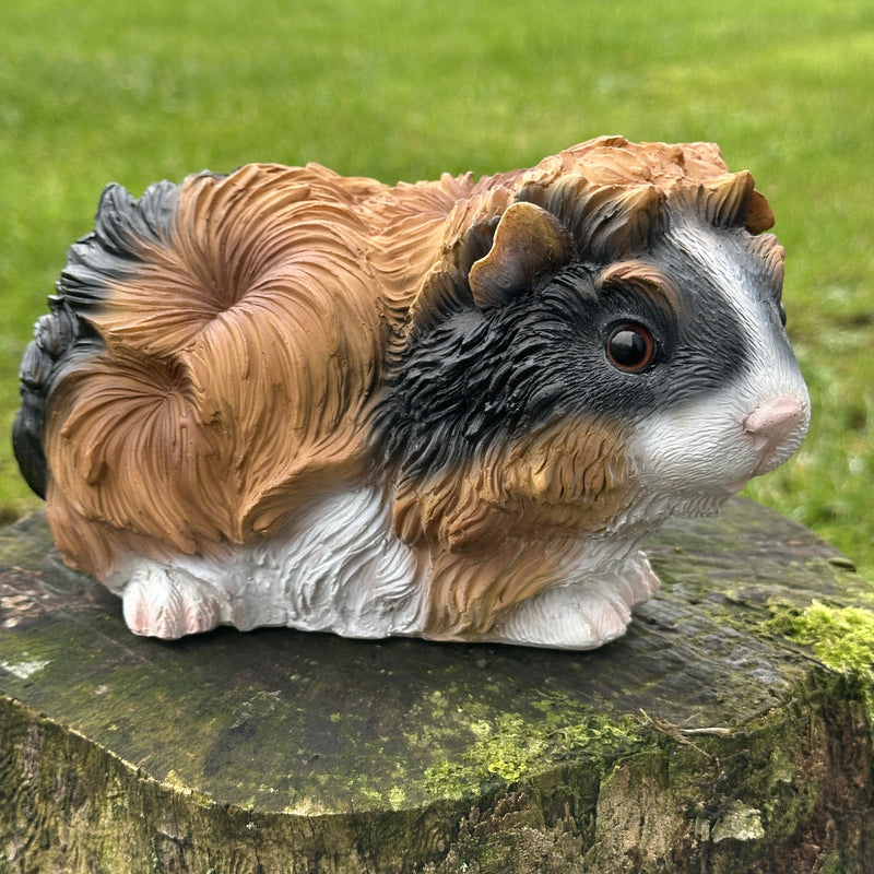 Cute Guinea Pig figurine, tri-colour tortoiseshell long haired coat, length 18cm