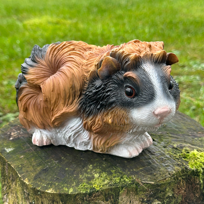 Cute Guinea Pig figurine, tri-colour tortoiseshell long haired coat, length 18cm