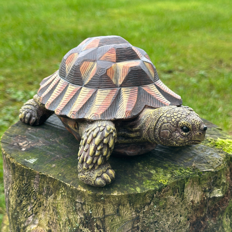 Animal Crackers realistic Tortoise figurine, length 20cm, gift boxed