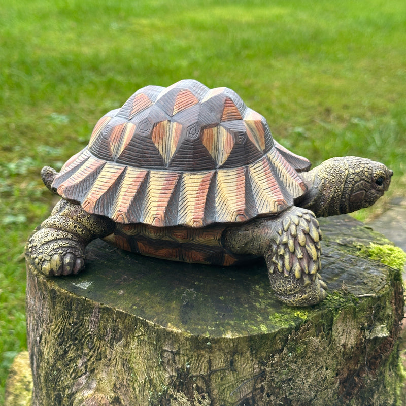 Animal Crackers realistic Tortoise figurine, length 20cm, gift boxed