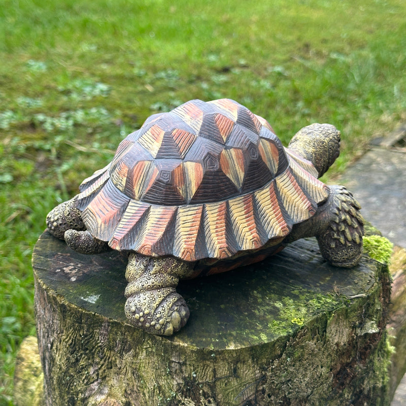 Animal Crackers realistic Tortoise figurine, length 20cm, gift boxed