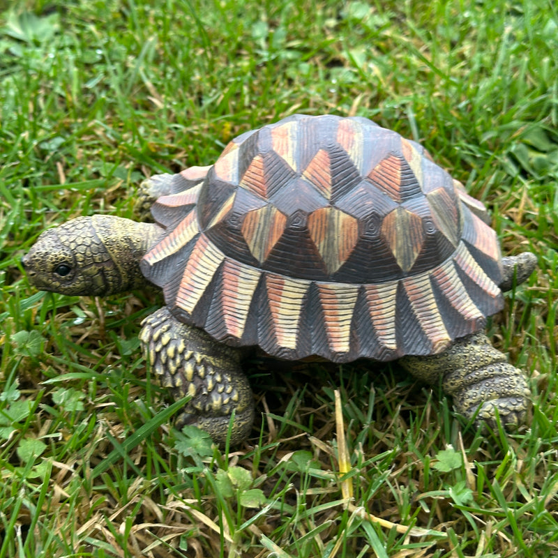 Animal Crackers realistic Tortoise figurine, length 20cm, gift boxed