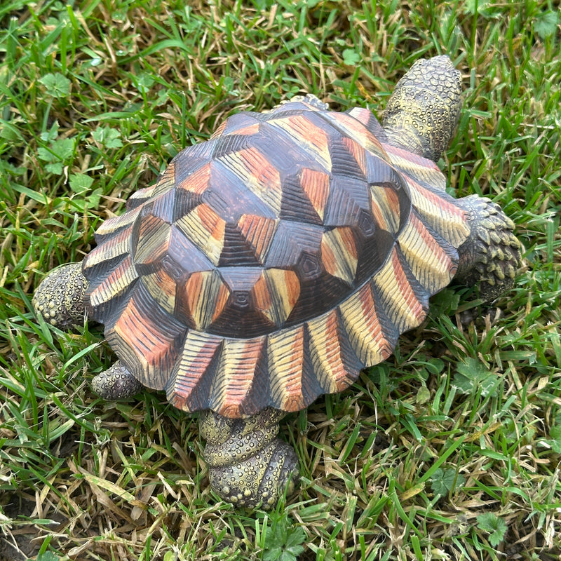 Animal Crackers realistic Tortoise figurine, length 20cm, gift boxed