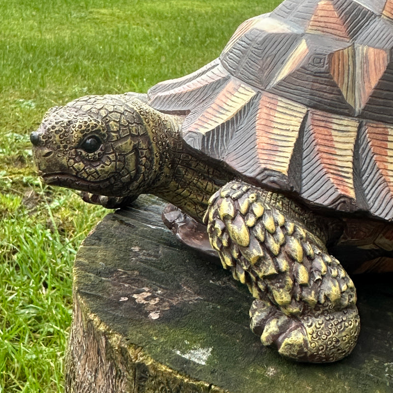 Animal Crackers realistic Tortoise figurine, length 20cm, gift boxed