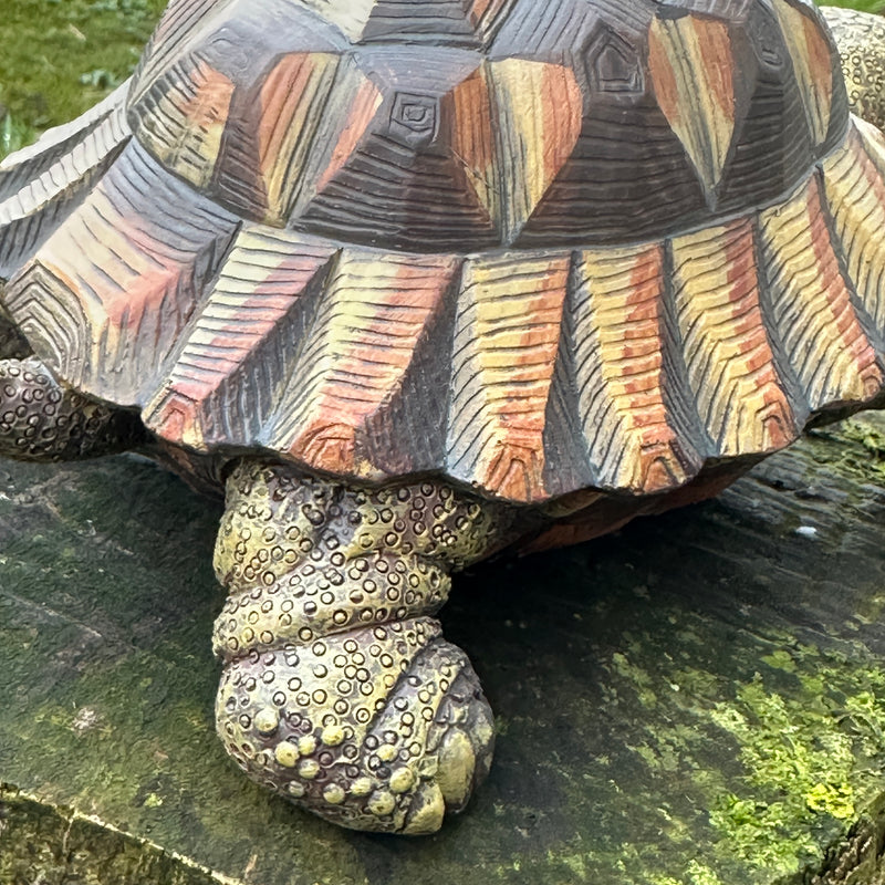 Animal Crackers realistic Tortoise figurine, length 20cm, gift boxed