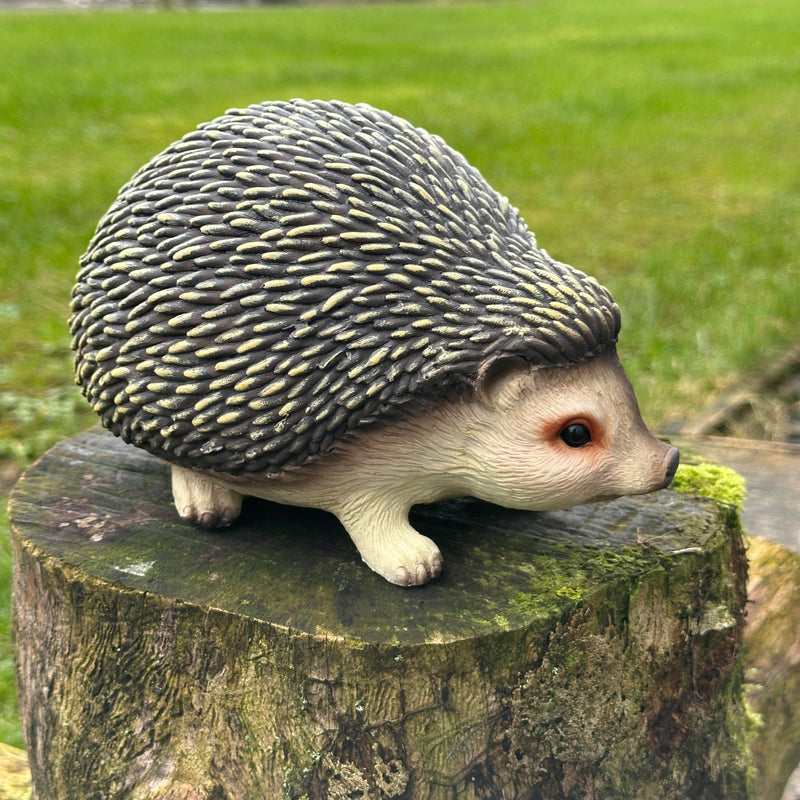 Cute Hedgehog figurine home or garden ornament decoration, length 19cm, gift boxed