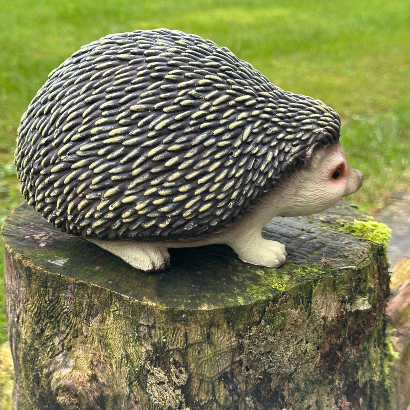 Cute Hedgehog figurine home or garden ornament decoration, length 19cm, gift boxed