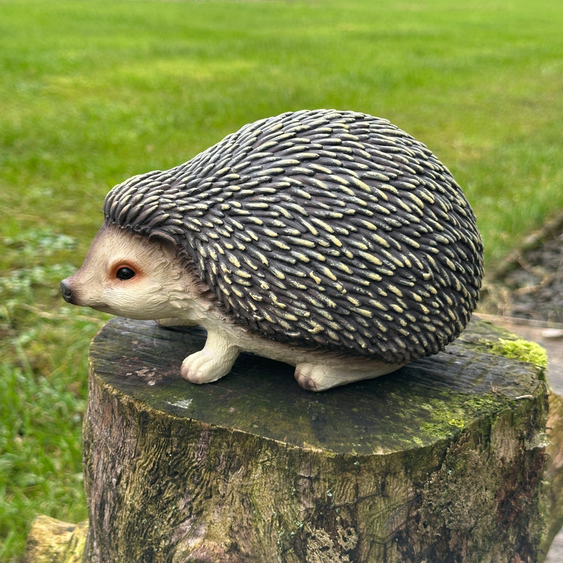 Cute Hedgehog figurine home or garden ornament decoration, length 19cm, gift boxed