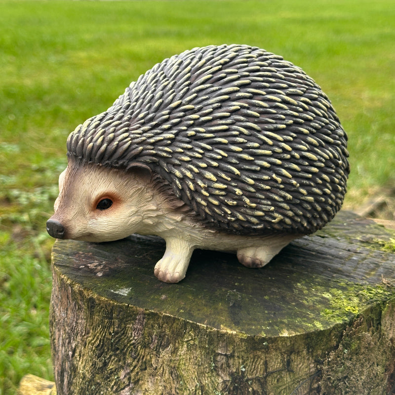 Cute Hedgehog figurine home or garden ornament decoration, length 19cm, gift boxed