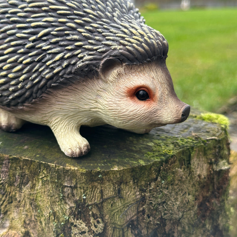 Cute Hedgehog figurine home or garden ornament decoration, length 19cm, gift boxed