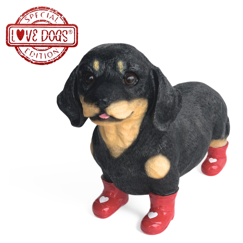 SPECIAL 'LOVE DOGS' EDITION Dachshund in Red Wellington Boots WITH HEARTS 'Welly Dog' figurine Valentine's Gift (25cm) (Copy