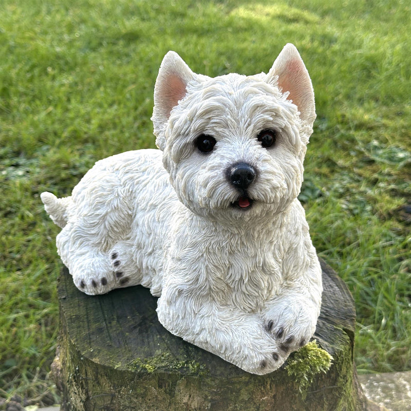 West Highland Terrier figurine in an alert pose, home or garden decoration (26cm)