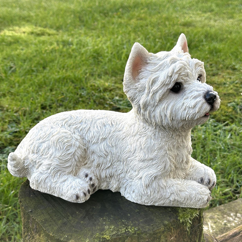 West Highland Terrier figurine in an alert pose, home or garden decoration (26cm)