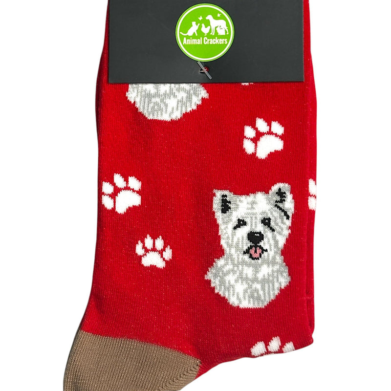 Animal Crackers Women's West Highland Terrier 'Westie' design socks, quality cotton mix