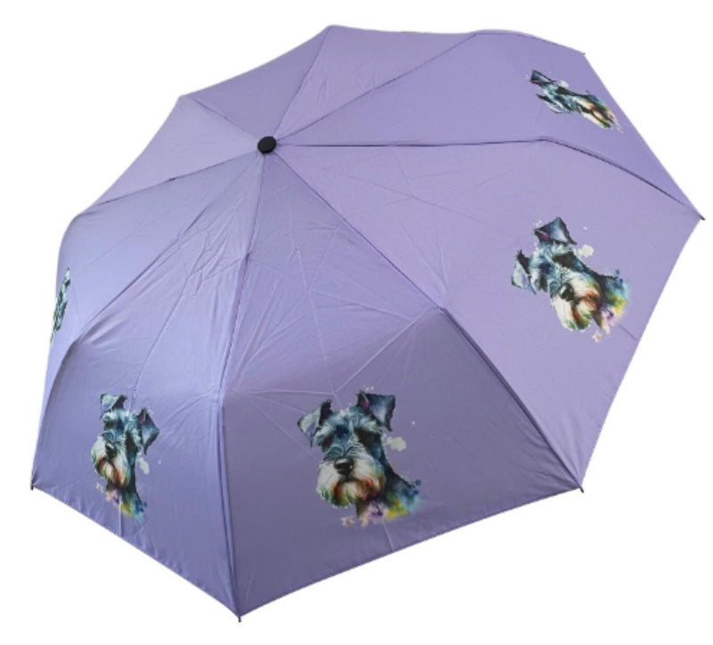 Folding Umbrella with watercolour style print - Schnauzer