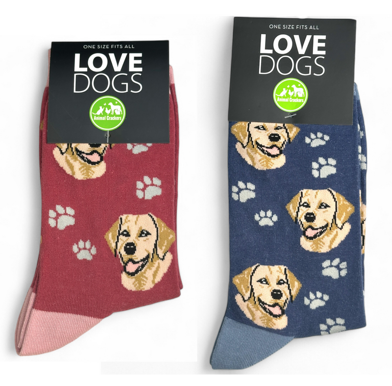 Animal Crackers Golden Labrador design socks, quality cotton mix, Women's or Men's sizes