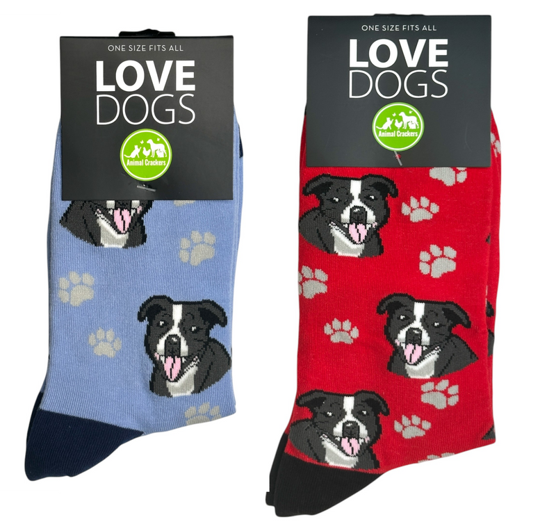 Animal Crackers Staffordshire Bull Terrier design socks, quality cotton mix, Women's or Men's sizes