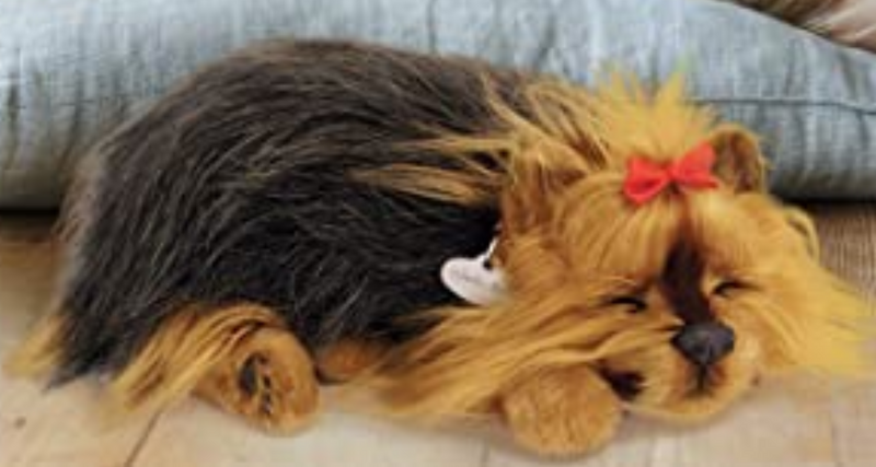 Perfect best sale petzzz yorkie