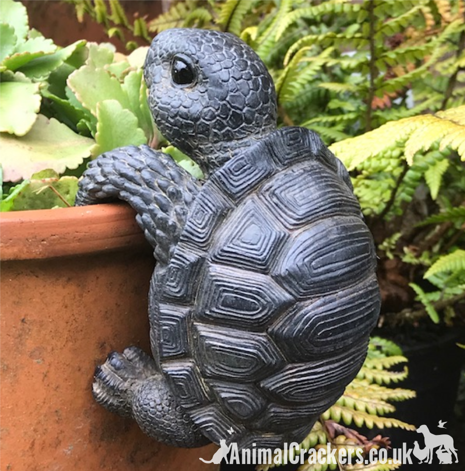 TORTOISE POT HANGER novelty resin garden ornament, great reptile lover