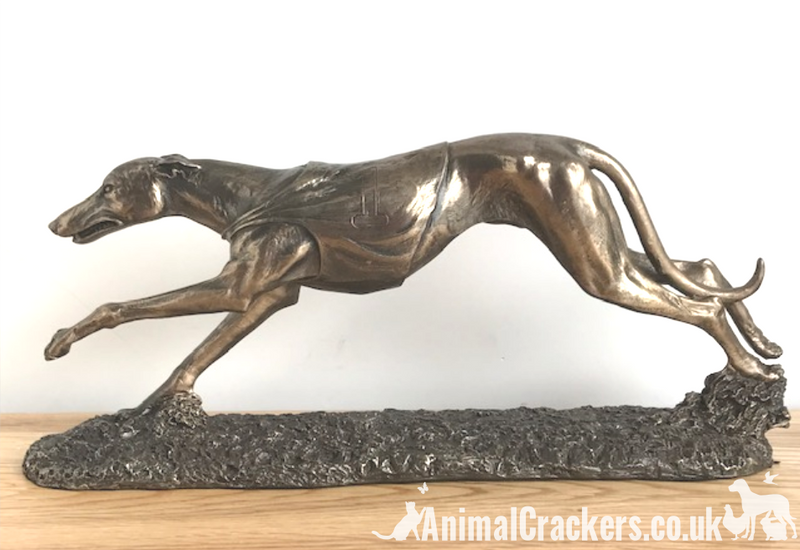 Single Racing Greyhound figurine in cold cast Bronze, fabulous ornament figurine, gift boxed