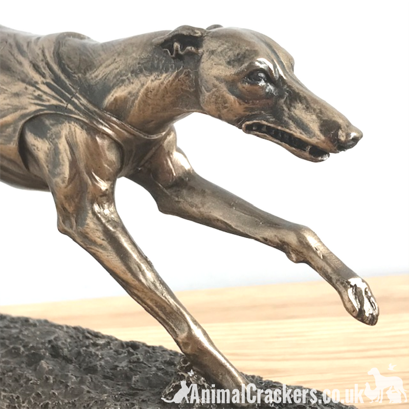 Single Racing Greyhound figurine in cold cast Bronze, fabulous ornament figurine, gift boxed