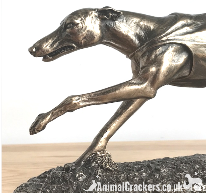 Single Racing Greyhound figurine in cold cast Bronze, fabulous ornament figurine, gift boxed