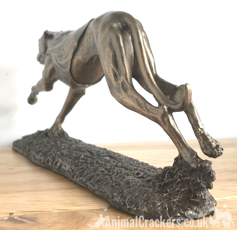 Single Racing Greyhound figurine in cold cast Bronze, fabulous ornament figurine, gift boxed