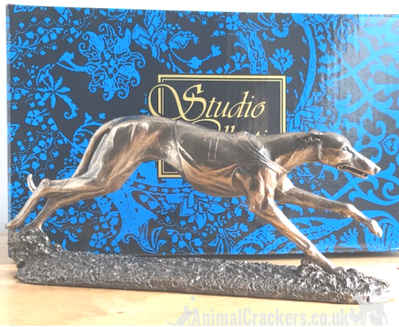 Single Racing Greyhound figurine in cold cast Bronze, fabulous ornament figurine, gift boxed