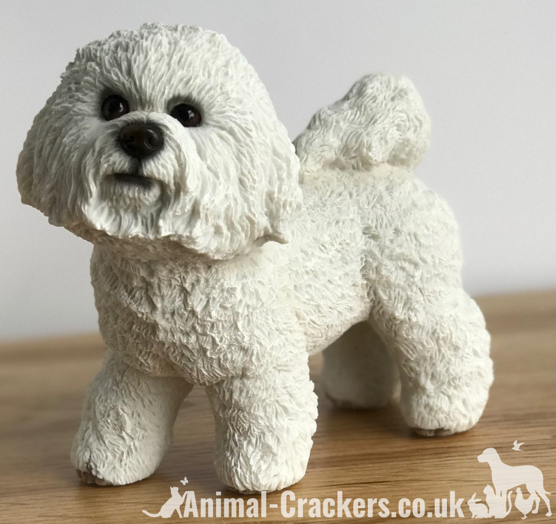 Bichon Frise ornament figurine quality lifelike Leonardo sculpture, gift boxed.